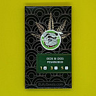 Насіння конопель Dos Si Dos Feminised (BullySeeds)