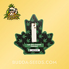 Семена конопли Auto Black Diamond Feminized (Canadian Seeds) Семена конопли Auto Black Diamond Feminized (Canadian Seeds)