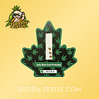 Насіння конопель Auto Black Gold Feminized (Canadian Seeds)