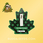 Насіння конопель Auto Dolato Feminized (Canadian Seeds) Насіння конопель Auto Dolato Feminized (Canadian Seeds)