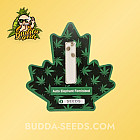 Семена конопли Auto Elephant Feminized (Canadian Seeds)
