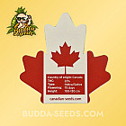 Насіння конопель Auto Gorilla King Feminized (Canadian Seeds)