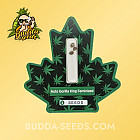 Насіння конопель Auto Gorilla King Feminized (Canadian Seeds)