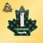 Насіння конопель Auto Killer Feminized (Canadian Seeds)