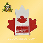 Семена конопли Auto Magnum Feminized (Canadian Seeds)