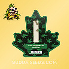 Насіння конопель Auto Pineapple Kush Feminized (Canadian Seeds) Насіння конопель Auto Pineapple Kush Feminized (Canadian Seeds)