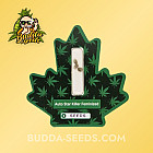 Насіння конопель Auto Star Killer Feminized (Canadian Seeds)