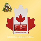 Семена конопли Auto Sweet Candy Feminized (Canadian Seeds) Семена конопли Auto Sweet Candy Feminized (Canadian Seeds)