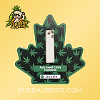 Семена конопли Auto Sweet Candy Feminized (Canadian Seeds) Семена конопли Auto Sweet Candy Feminized (Canadian Seeds)