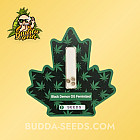 Насіння конопель Black Demon OG Feminized (Canadian Seeds)