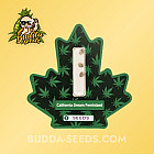 Семена конопли California Dream Feminized (Canadian Seeds) Семена конопли California Dream Feminized (Canadian Seeds)