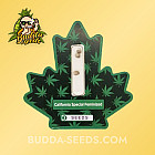 Насіння конопель California Special Feminized (Canadian Seeds)