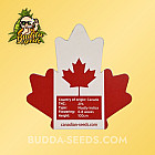 Семена конопли Caramel Kush Feminized (Canadian Seeds)