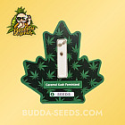 Семена конопли Caramel Kush Feminized (Canadian Seeds)