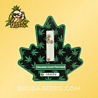 Семена конопли Chocolate Chunk Feminized (Canadian Seeds)