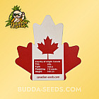 Семена конопли Fruit Juice Feminized (Canadian Seeds)