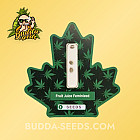 Семена конопли Fruit Juice Feminized (Canadian Seeds)
