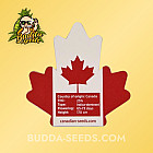 Насіння конопель Fruity Pebbles Feminized (Canadian Seeds)