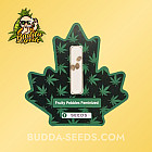 Насіння конопель Fruity Pebbles Feminized (Canadian Seeds)