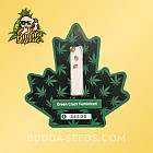 Насіння конопель Green Crack Feminized (Canadian Seeds)