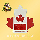 Насіння конопель White Strawberry Feminized (Canadian Seeds)