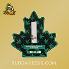 Насіння конопель Auto Afghan Original Feminized (Canadian Seeds)