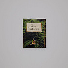 Насіння конопель Auto Astronaut Feminised