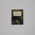 Насіння конопель Auto Bishkek Feminised