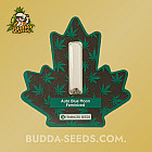 Насіння конопель Auto Blue Moon Feminized (Canadian Seeds)