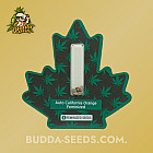 Семена конопли Auto California Orange Feminized (Canadian Seeds)