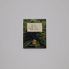 Семена конопли Auto Euphoria Feminised