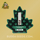 Насіння конопель Auto Frankenstein Feminized (Canadian Seeds)