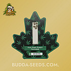 Насіння конопель Auto Green Dragon Feminized (Canadian Seeds)