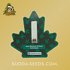 Насіння конопель Auto Mexican Airlines Feminized (Canadian Seeds)