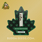 Насіння конопель Auto Sour Diesel Feminized (Canadian Seeds) Насіння конопель Auto Sour Diesel Feminized (Canadian Seeds)