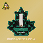 Семена конопли Auto Tyson Feminised (Canadian Seeds)