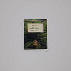 Семена конопли Auto White Russian Feminised