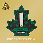 Насіння конопель Auto White Widow Feminized (Canadian Seeds) Насіння конопель Auto White Widow Feminized (Canadian Seeds)